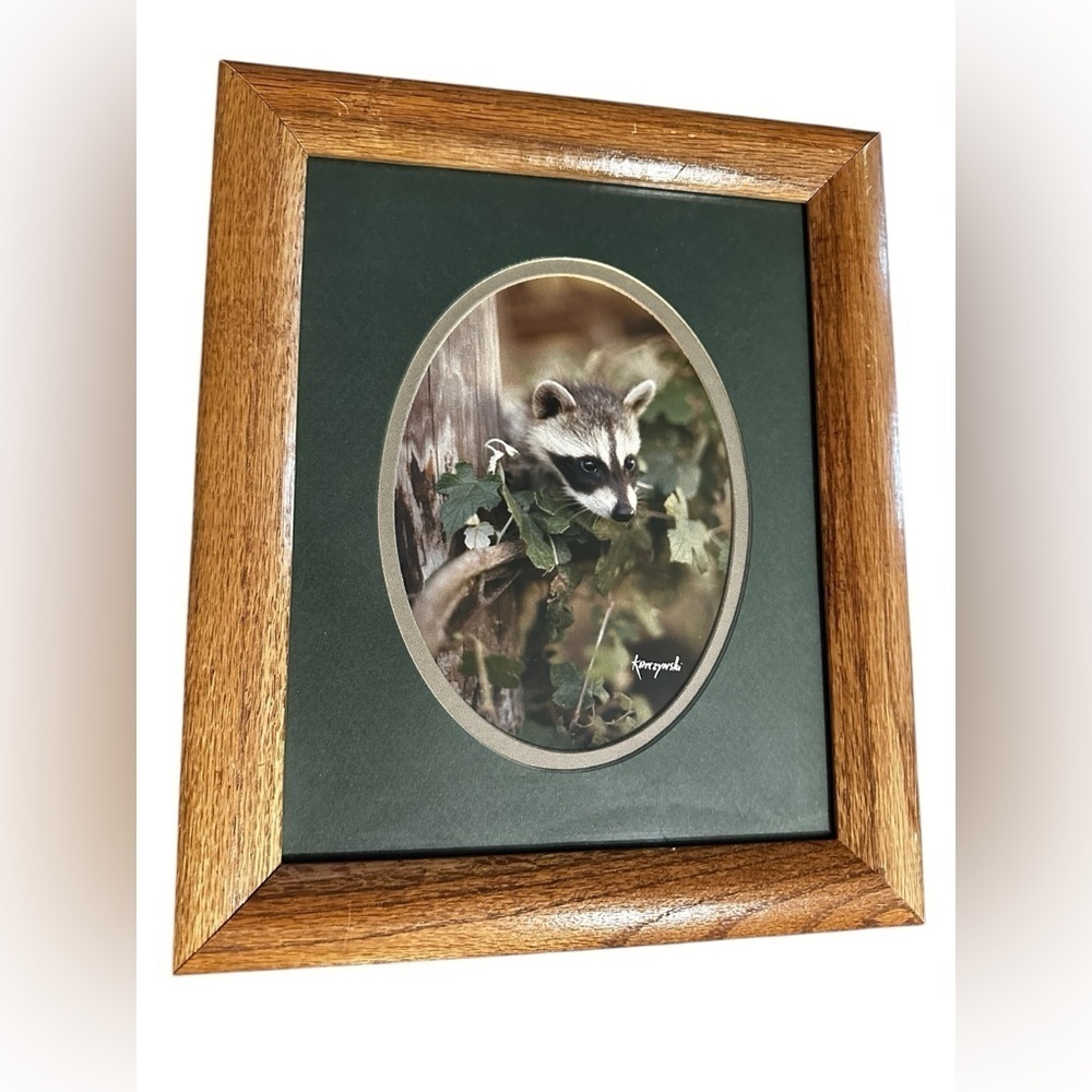 Vintage Framed Matted Set Of Two Baby Raccoon Photos - Picture 2 of 9